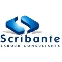 Scribante Labour Forklift Driver Vacancy 2026